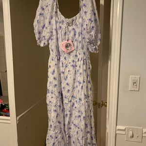 Love Shack Fancy 3x plus size dress